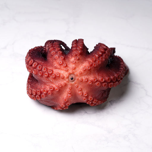 PULPO PRECOCIDO 700/800 G