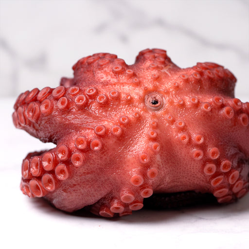 PULPO PRECOCIDO GRANDE 900/1 KG