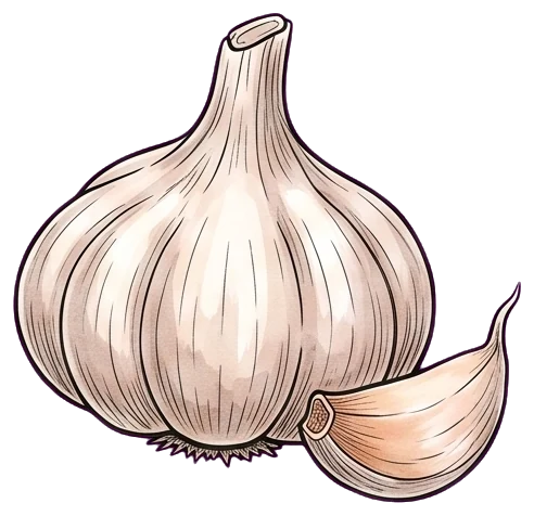 Ajo