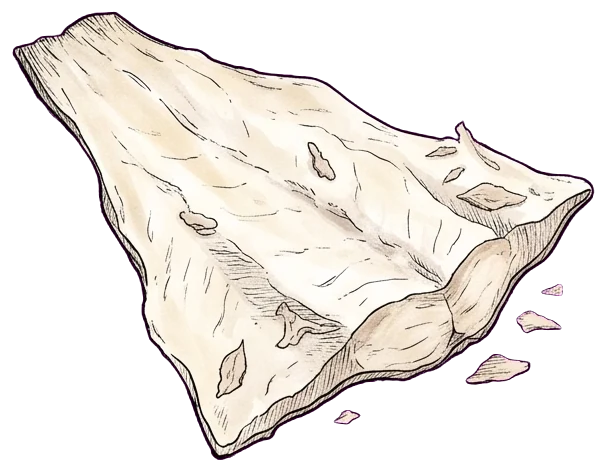 Bacalao