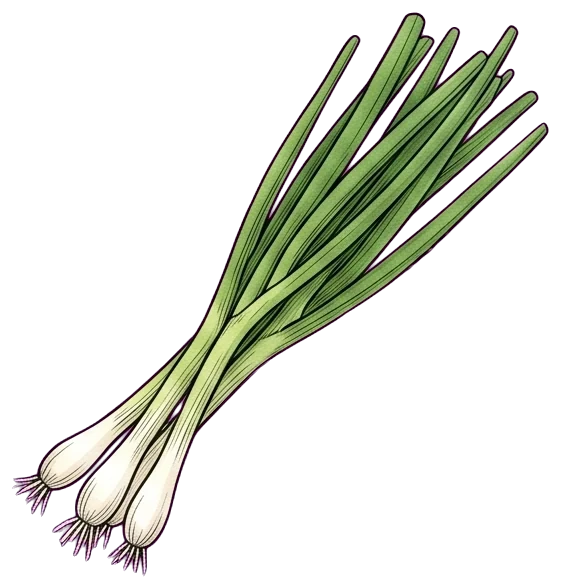 Cebollín