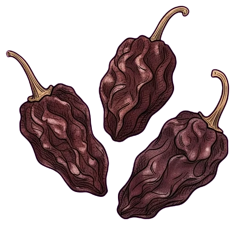 Chile morita