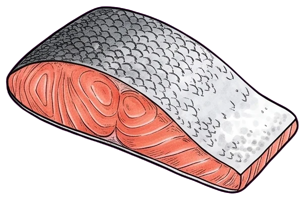 Salmón