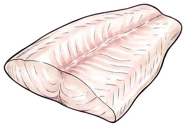 Totoaba