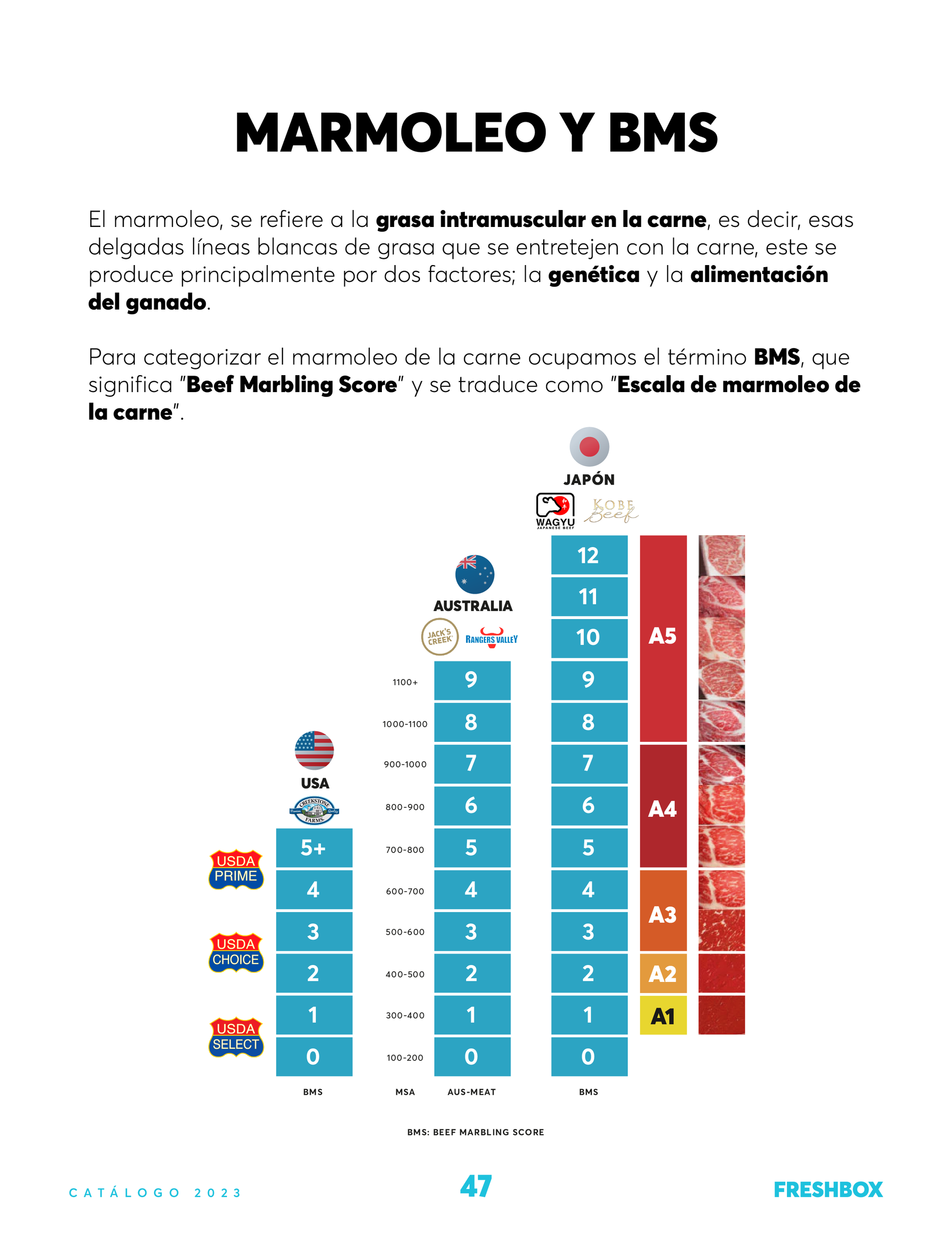 Escala de marmoleo del Wagyu: qué significa cada grado y cómo elegir el tuyo