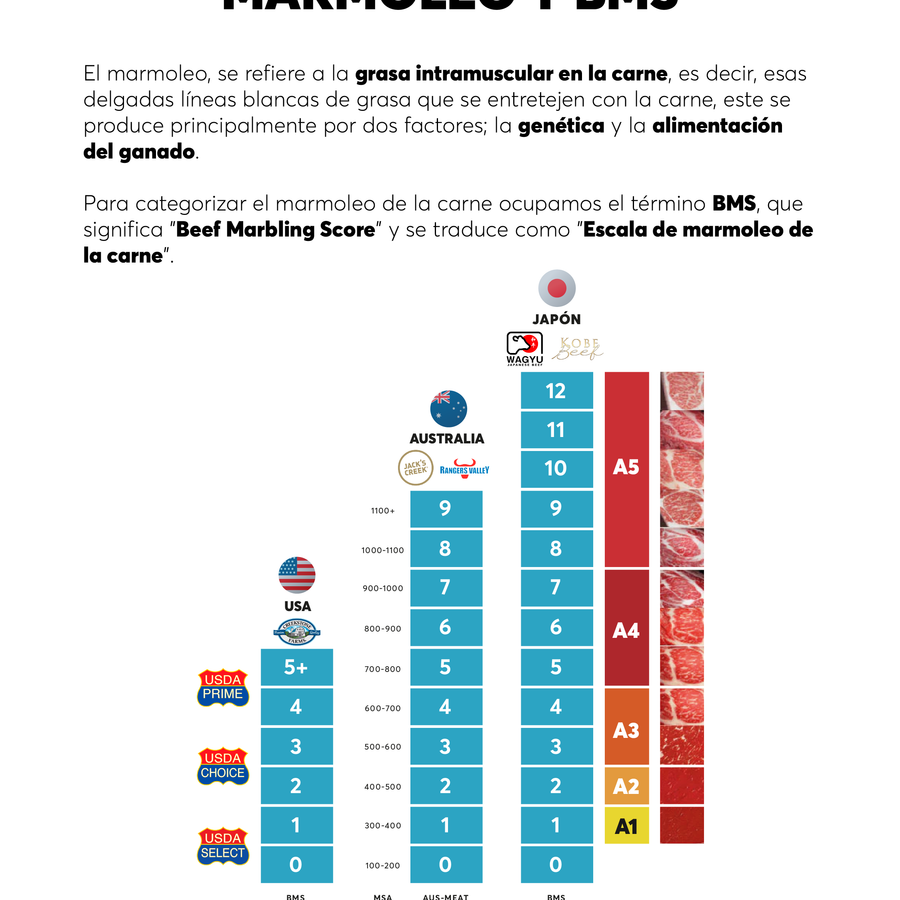 Escala de marmoleo del Wagyu: qué significa cada grado y cómo elegir el tuyo