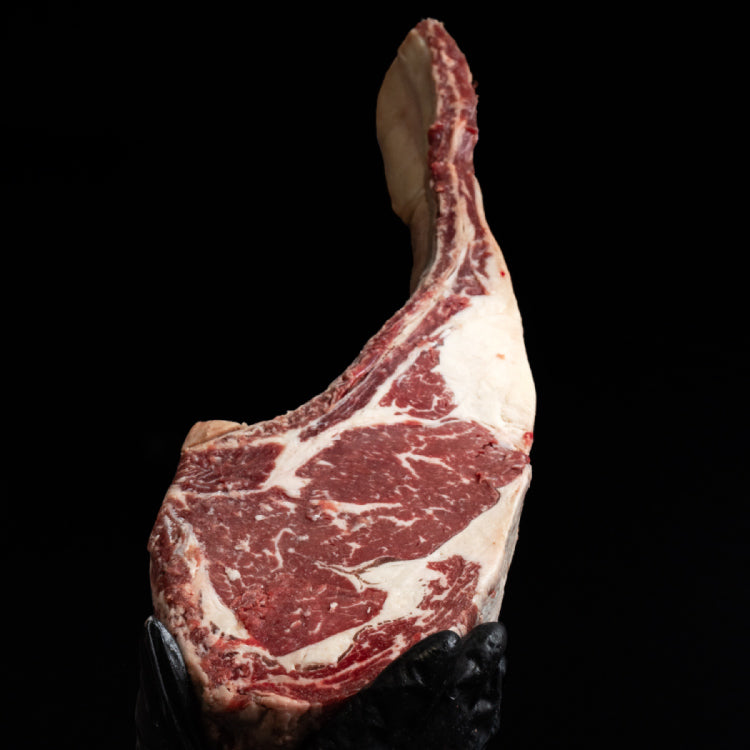 TOMAHAWK  BLACK ANGUS JACK’S CREEK BMS 3