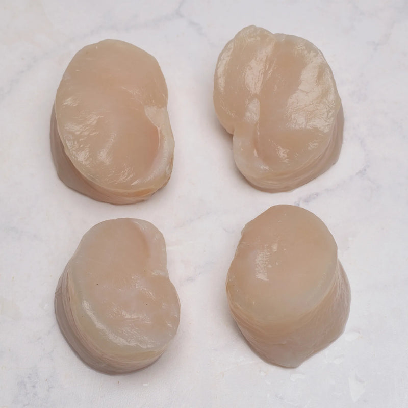 Callo de hacha redondo 1 KG