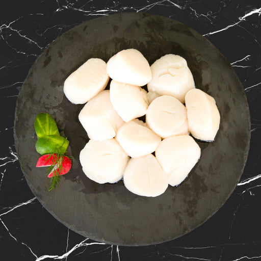 Callo de hacha en plato negro con fondo negro