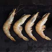 Camarón grande con cabeza con fondo negro