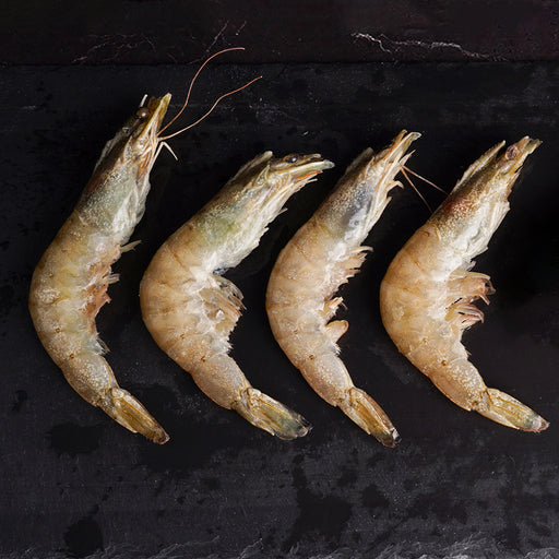 Camarón grande con cabeza con fondo negro