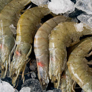 Camarón grande con cabeza sobre hielo