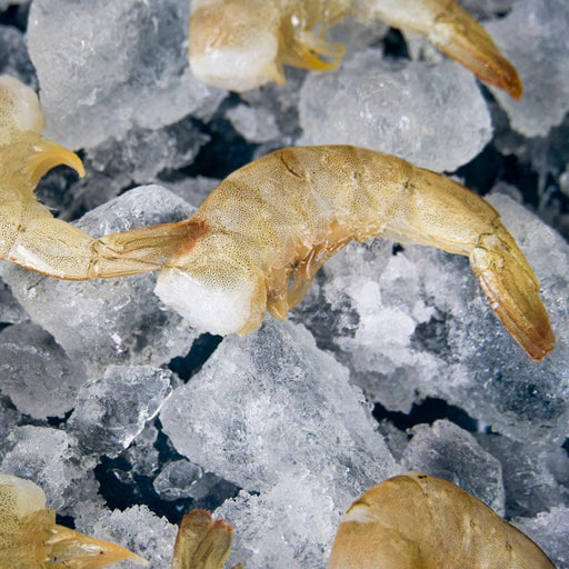 Camarón Grande sin cabeza 500g