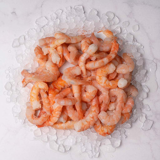 Camarón Pacotilla Grande 1Kg sobre hielo 