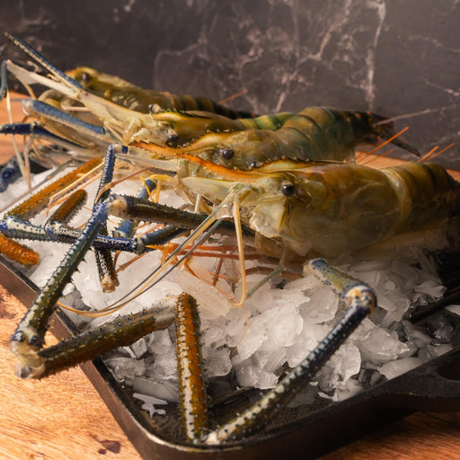 LANGOSTINO JUMBO CON CABEZA 910 G