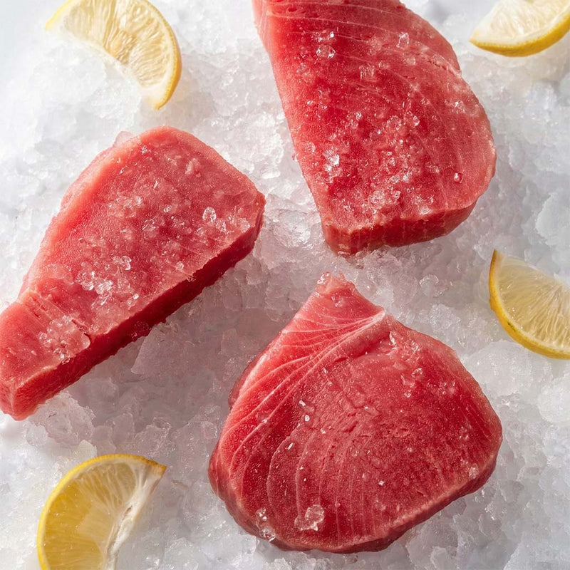 Medallones de atún aleta amarilla frescos con hielo