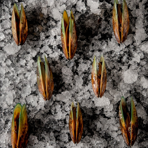 MEJILLON VERDE PRECOCIDO 1 KG