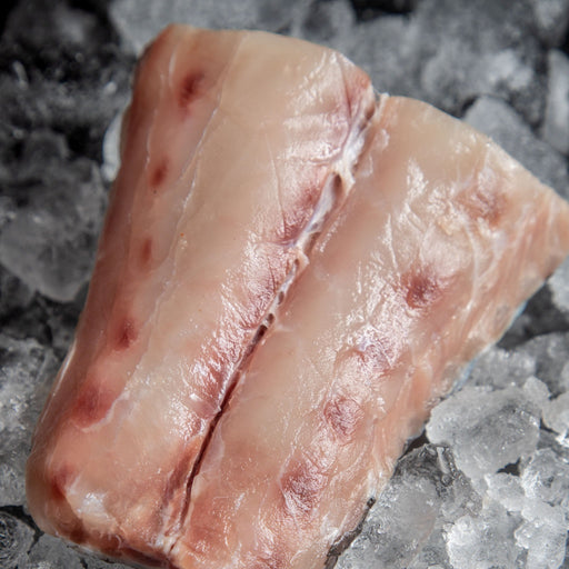 Postas de totoaba de acuacultura, carne blanca firme y corte uniforme