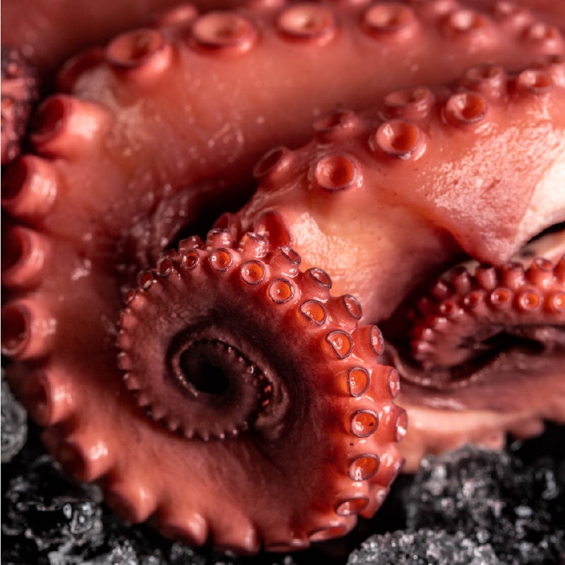 PULPO KRAKEN 1 KG - 1.4 KG