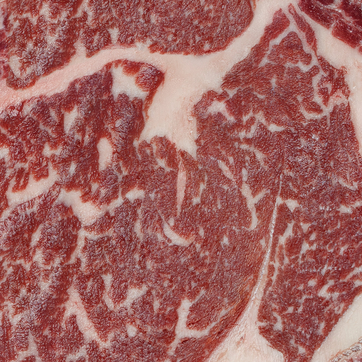 RIBEYE CON HUESO WAGYU CROSS WESTHOLME 500 G