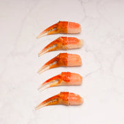 SNOW CRAB TENAZA