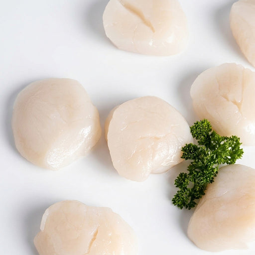 Callo garra de leon U10 500G Freshbox