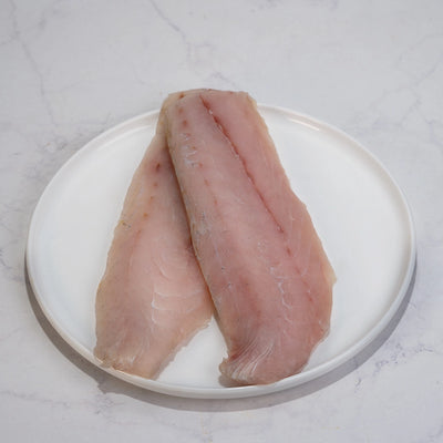 FILETE DE PESCA DEL DÍA