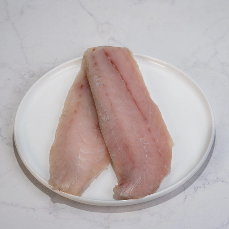 FILETE DE PESCA DEL DÍA