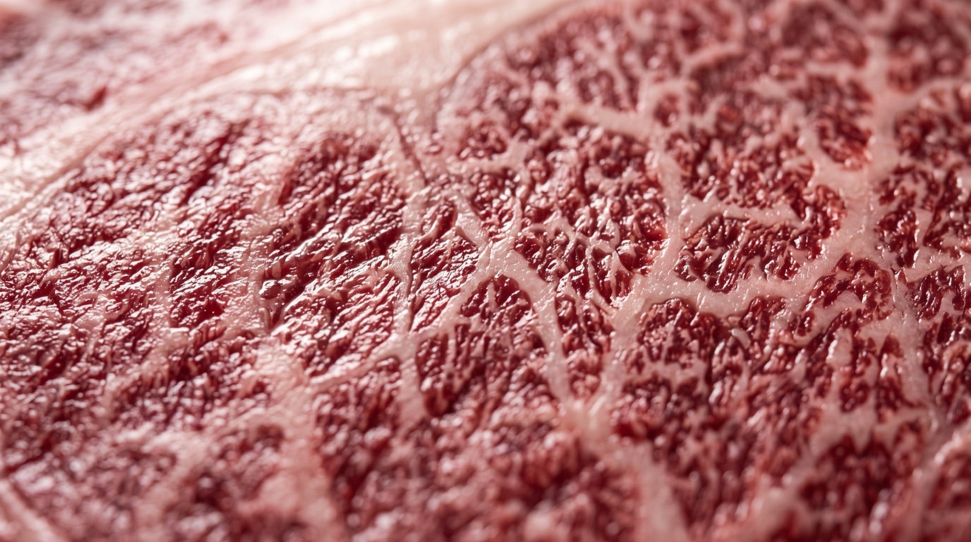 Marmoleo del Wagyu en primer plano