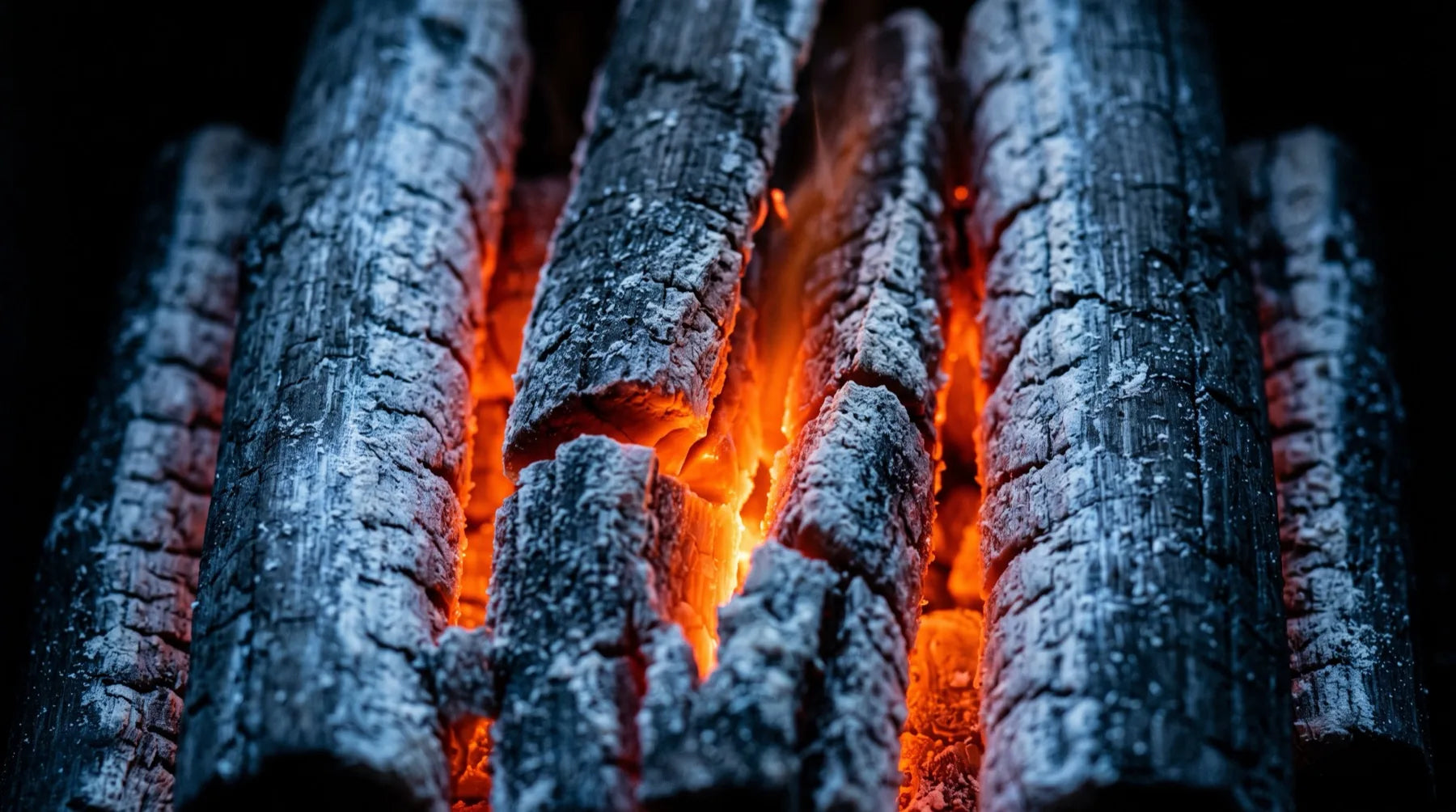 Carbón binchotán encendido, con ceniza blanca y brasa naranja